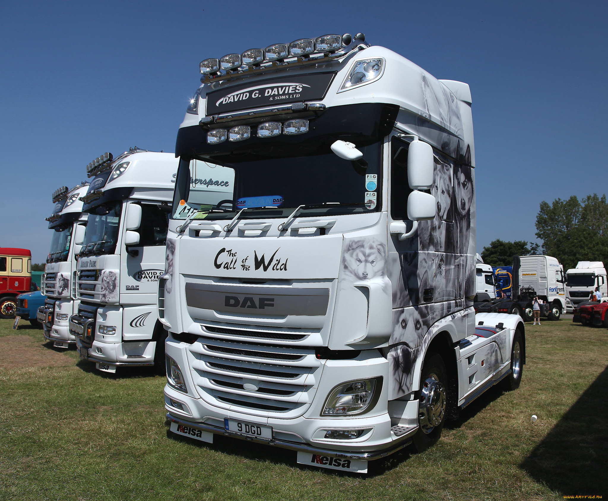 daf, , , , trucks, nv, , , 